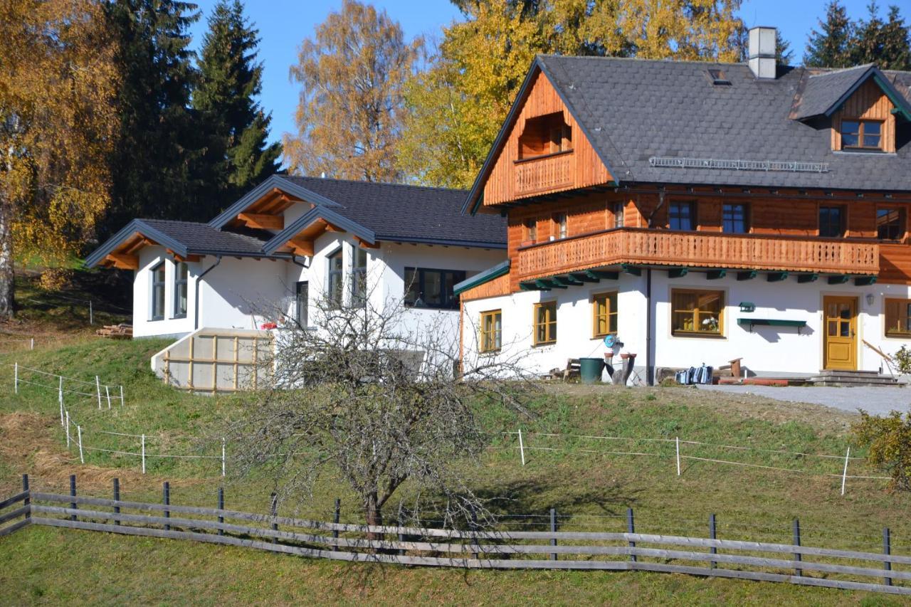 Appartement - Das Kleine Bleiberger By Schladmingurlaub Экстерьер фото
